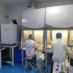 Lab 4
